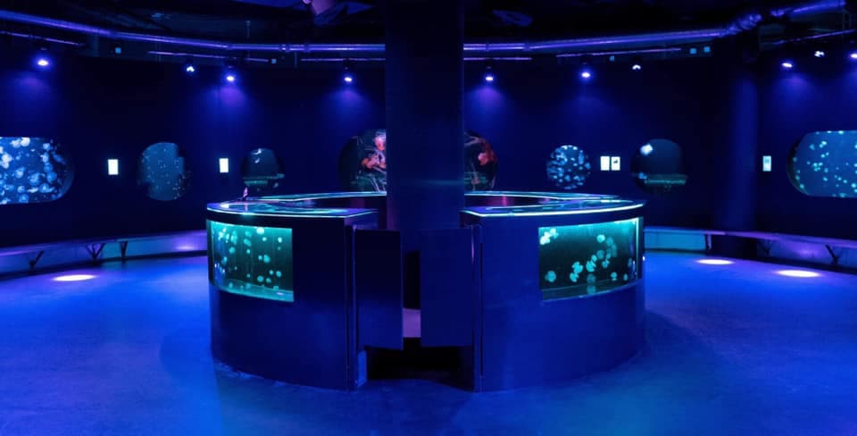 L'Aquarium club Paris