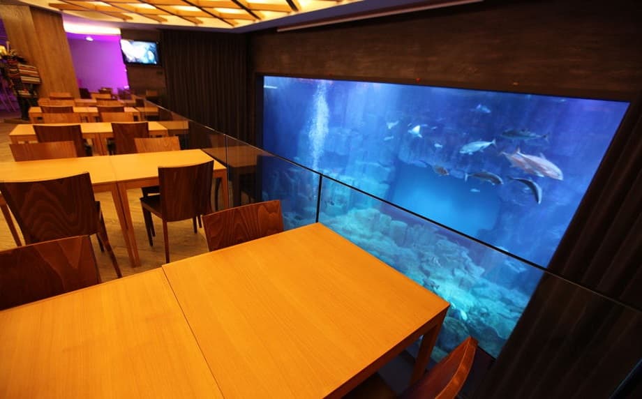 L'Aquarium club Paris