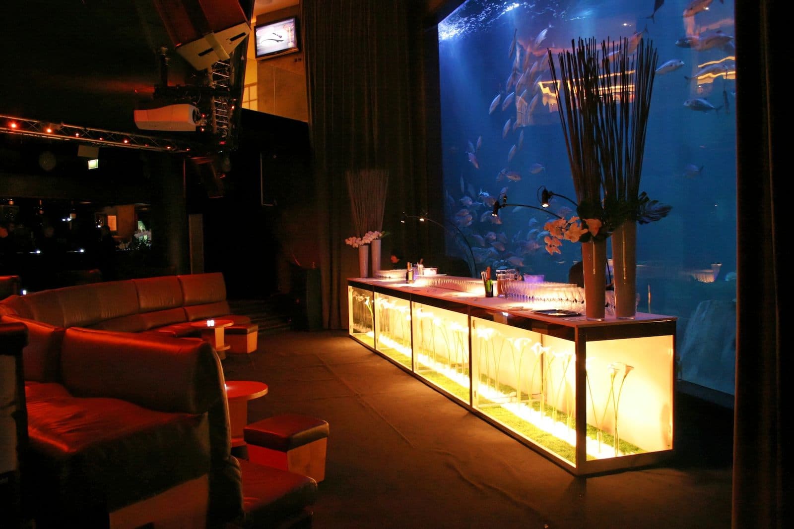 L'Aquarium club Paris