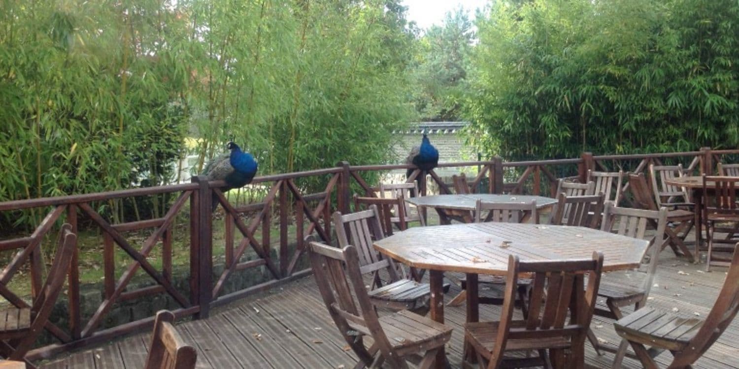 Terrasses/Jardin