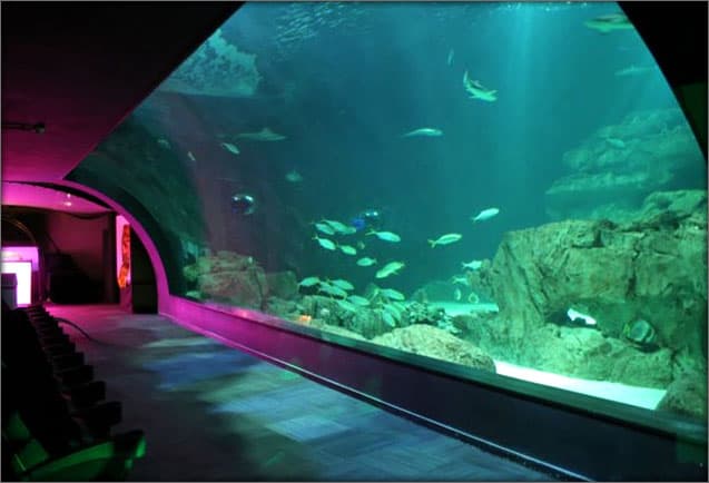 L'Aquarium club Paris